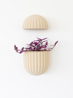 The Wallflower With Battery Pack