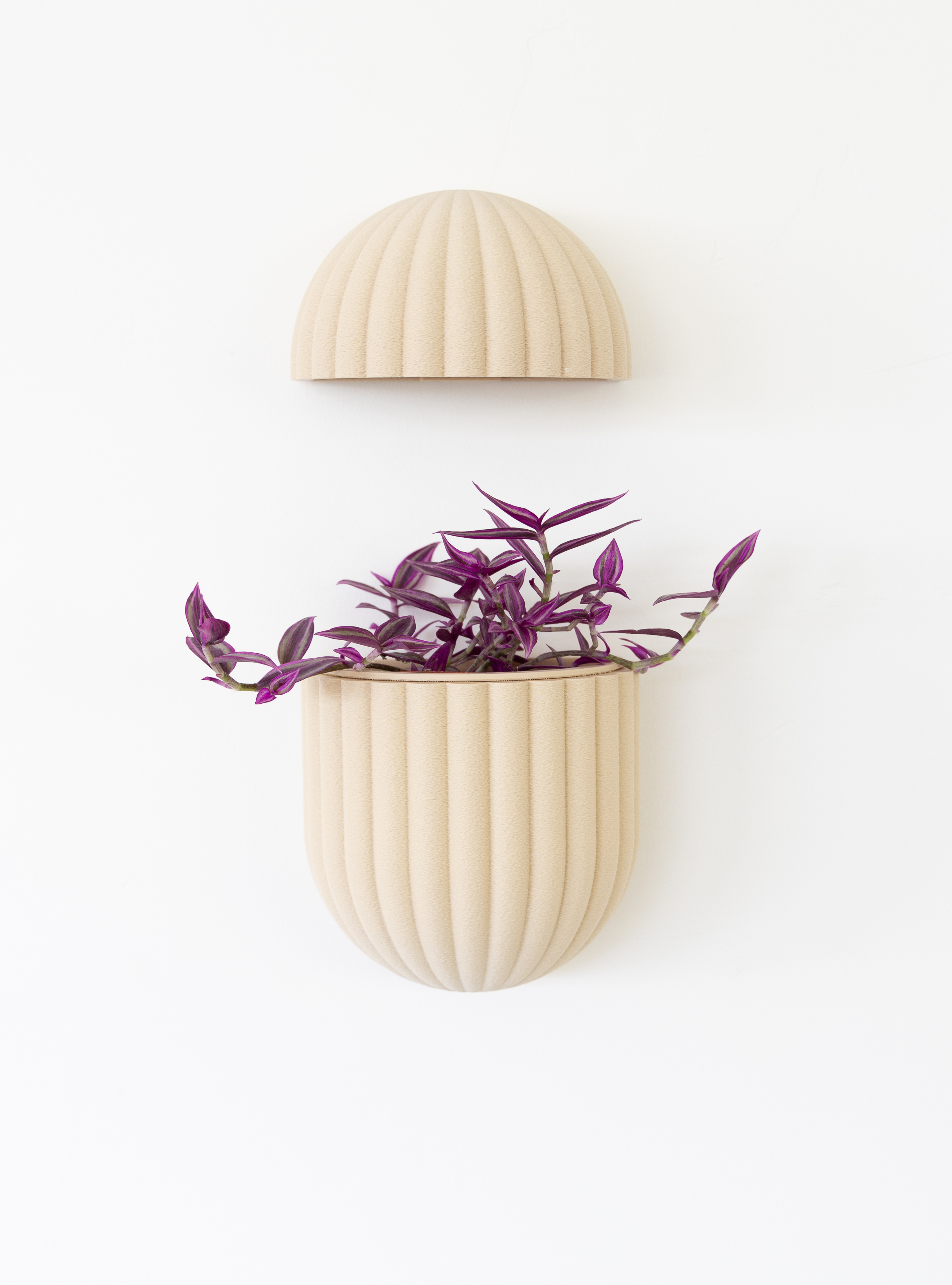 The Wallflower With Battery Pack