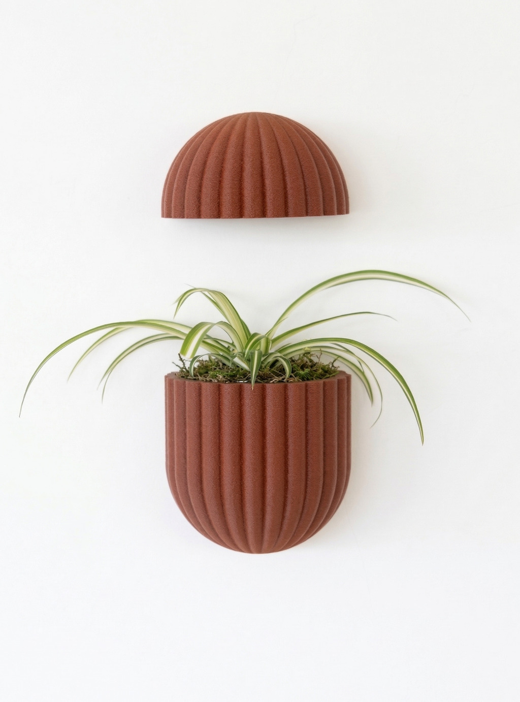 The Wallflower With Battery Pack