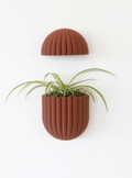 The Wallflower With Battery Pack