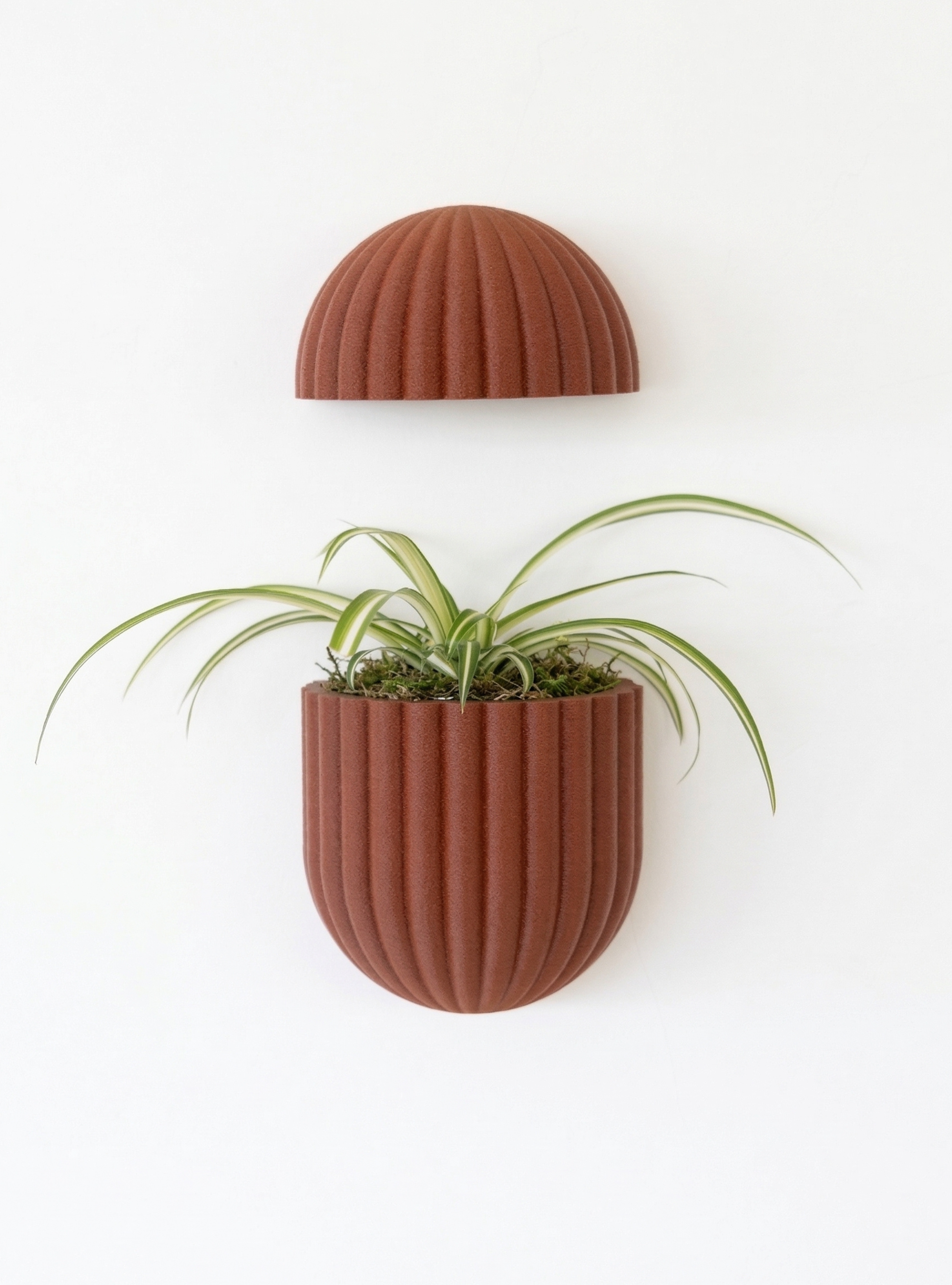 The Wallflower With Battery Pack