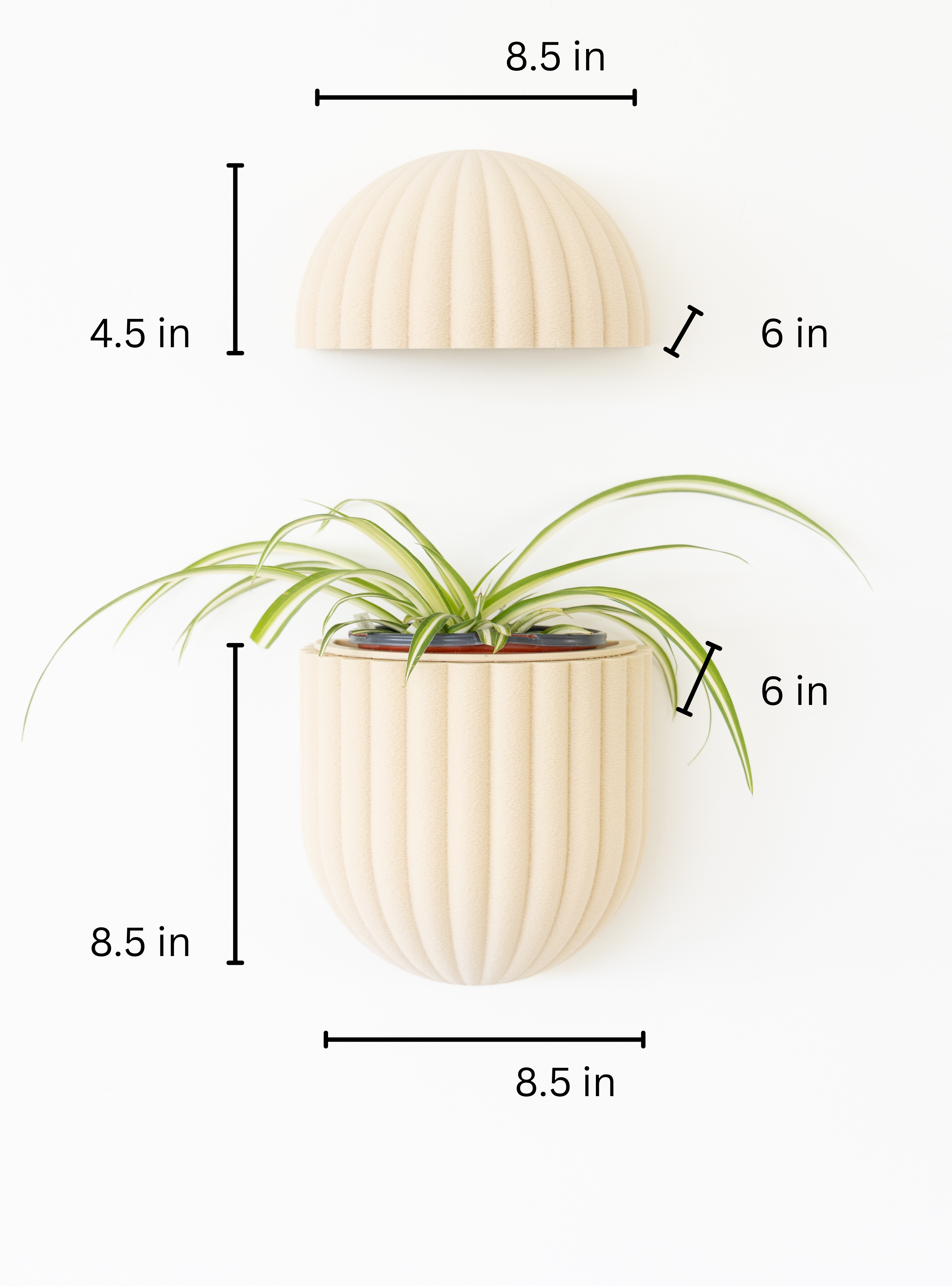 The Wallflower With Battery Pack